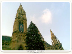 Traditioneller Weihnachtsbaum vor dem Rathaus
