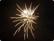 Concert Specials Vienna - Celebrate Christmas and New Year with a classical concert