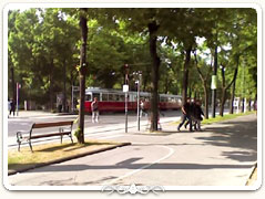 Tram at the Vienna Ringstrasse